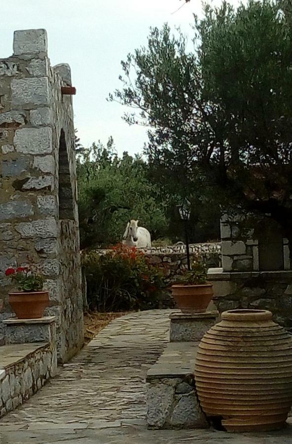 Apartamento Charouda Stone Tower Pírgos Dhiroú Exterior foto